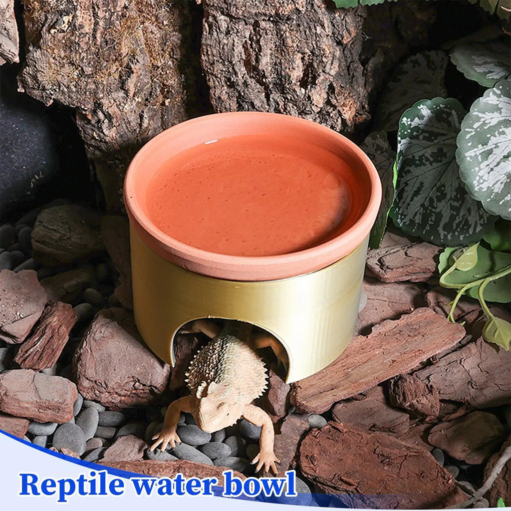 2-in-1 Reptile Cave Hide & Food Tray | Bearded Dragon Reptile Habitat Accessory Qme