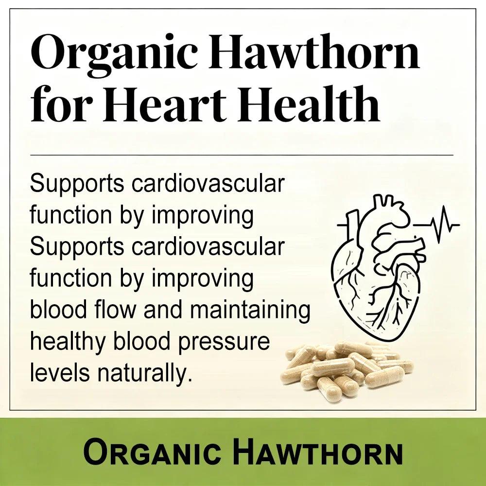 VITALXTRA Hawthorn Extract Capsules 980mg – Heart & Gut Health Herbal Supplement Qst