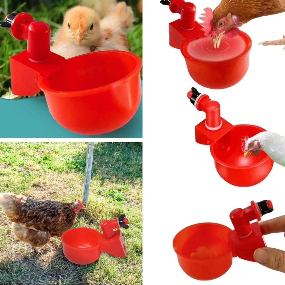 Automatic Poultry Water Dispenser for Chickens, Geese & Quail Poultry Water Dispenser Qme