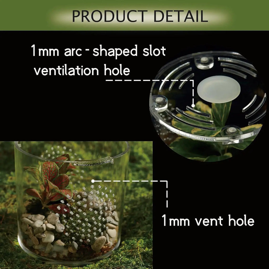 Clear Acrylic Tarantula Enclosure – Escape-Proof Ventilated Terrarium Invertebrate Terrarium Qme