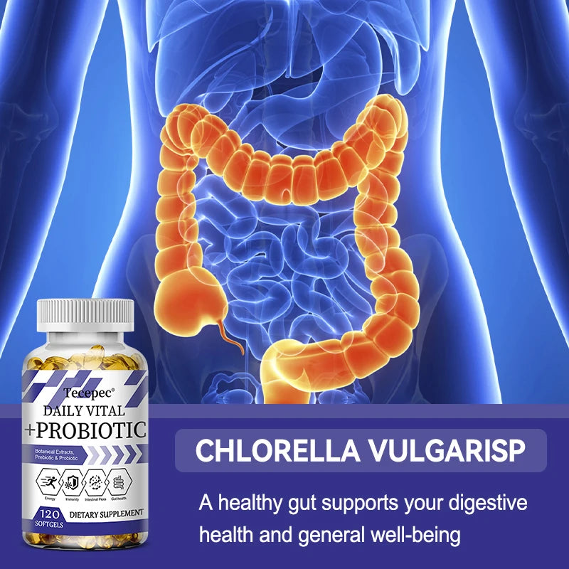 Women's Probiotic – Ginseng, Spirulina & Cranberry | 36 Strains Probiotic Supplement Qst