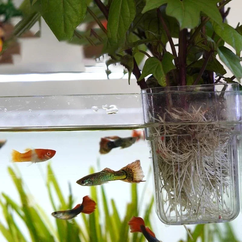 Fish Tank Hydroponic Planting Cup | Wall-Mounted Aquarium Decor Aquarium Planting Cup Qme