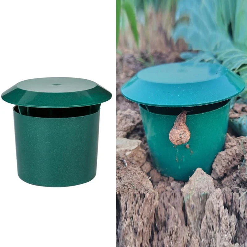 Eco-Friendly Snail & Slug Trap Cage – Garden Pest Catcher Garden Pest Trap Qme