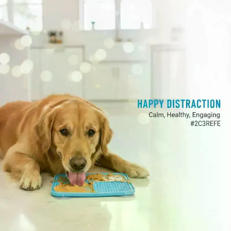 Silicone Pet Lick Mat Slow Feeder Bowl with Suction Cup Slow Feeder Lick Mat Qme