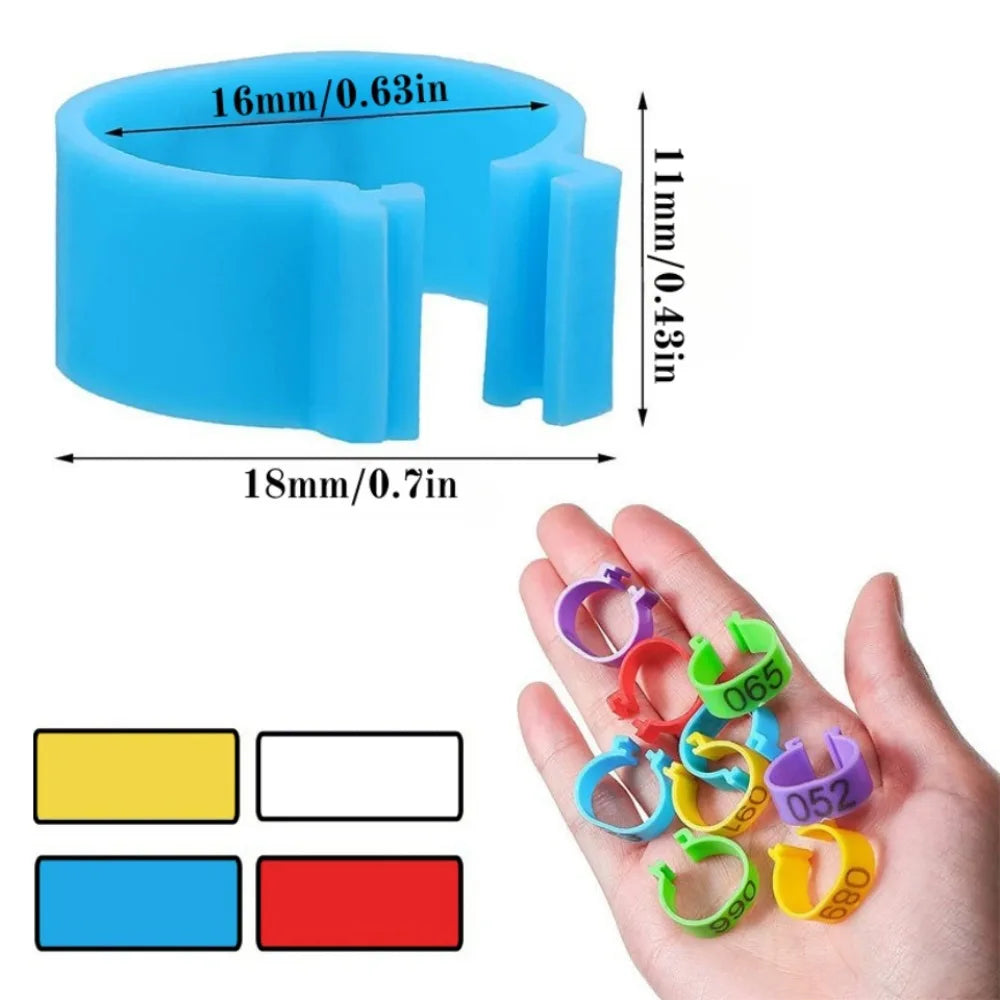 Numbered Multicolor Poultry Leg Rings for Chickens, Quail & Turkeys Poultry Leg Rings Qme
