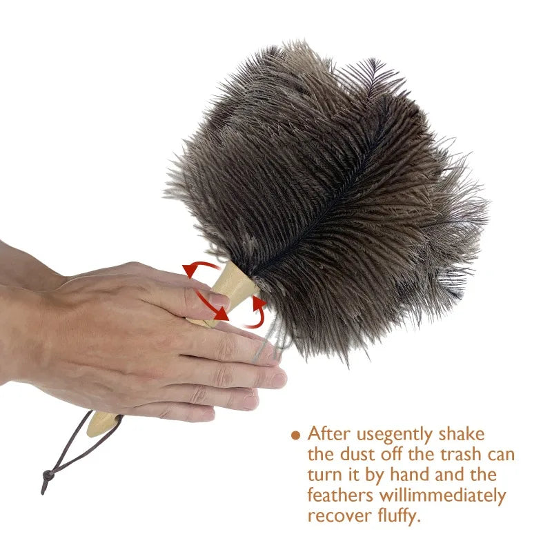 Natural Ostrich Feather Duster with Handle – Fluffy & Reusable Feather Duster Qme
