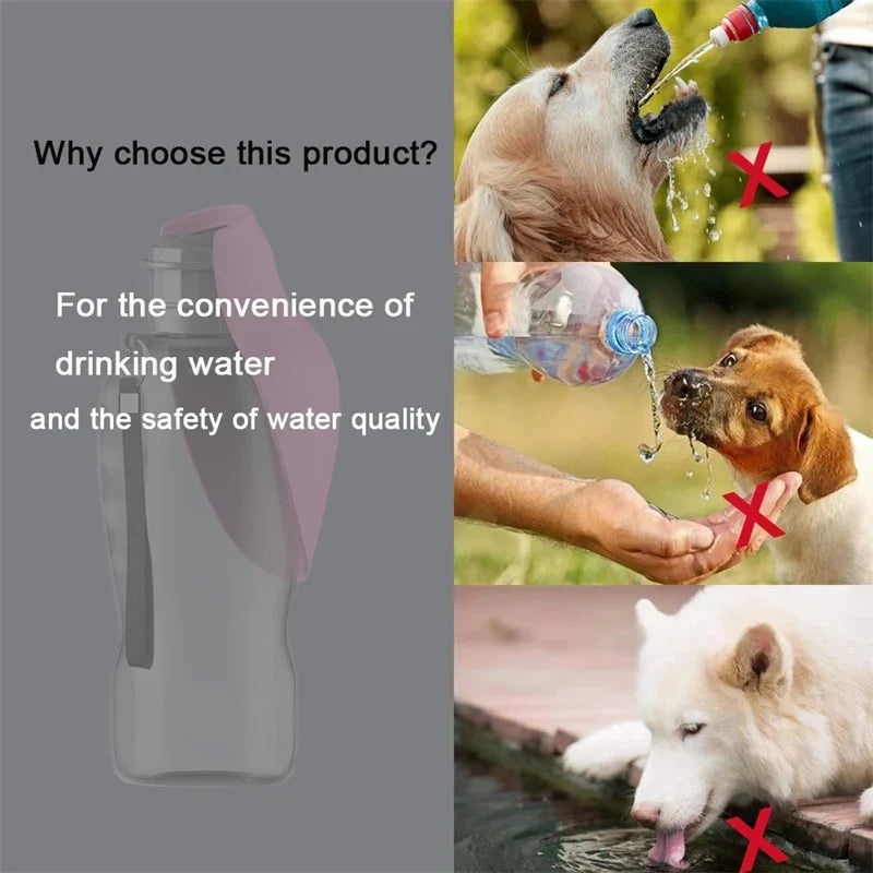 Portable Dog Water Bottle 800ml – Leakproof Outdoor Pet Bottle Pet Water Bottle Qme