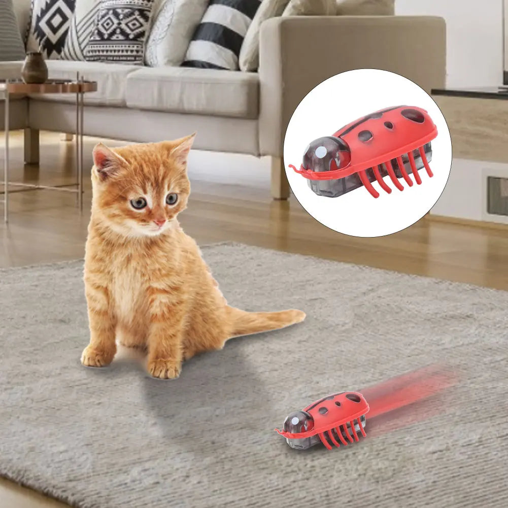 Electric Ladybug Cat Interactive Toy – Auto Walking Bug Interactive Cat Toy Qme