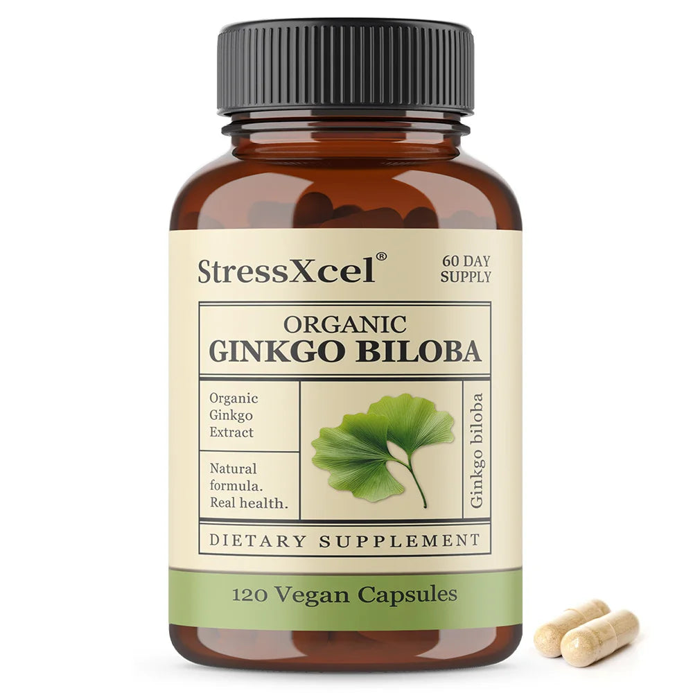 Ginkgo Biloba Capsules – Memory, Focus & Cognitive Support Herbal Supplement Qst 120 count-1bottle