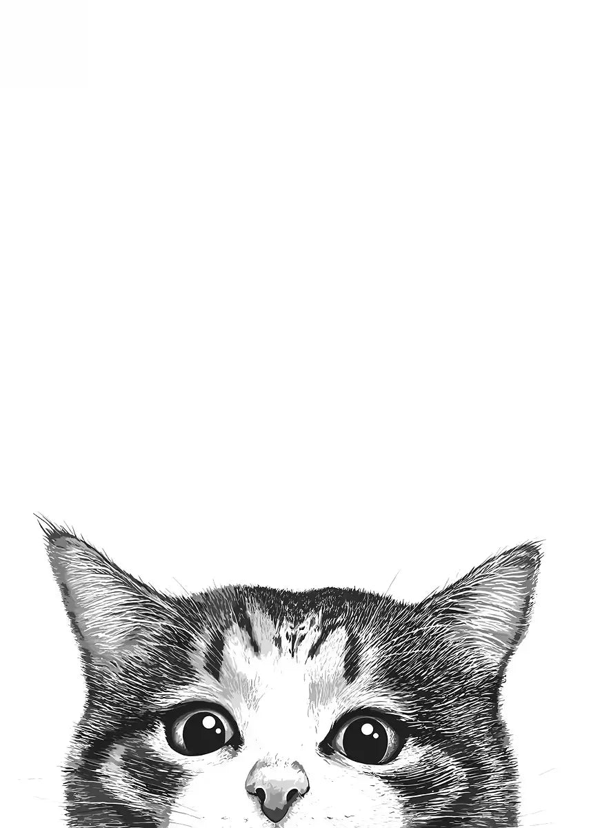 Peeking Black Cat Canvas Wall Art – Minimalist Cat Poster Canvas Wall Art Qst xx-5 40x50cm Unframed