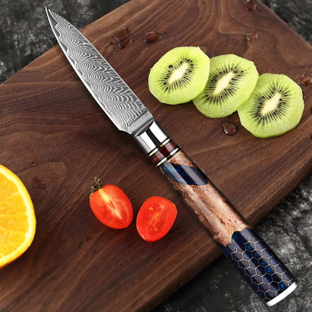 XITUO 3.5" Damascus Steel Paring Knife – Full Tang Wood Handle Damascus Paring Knife Qst
