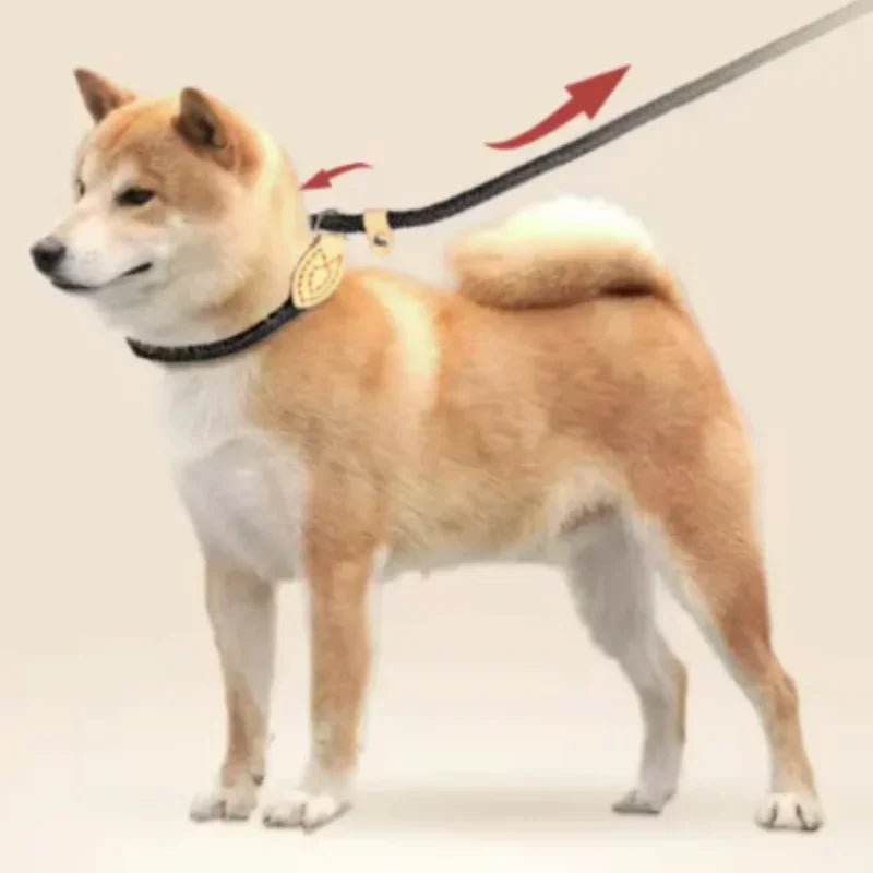 5M Heavy Duty Braided Slip Rope Dog Leash – Adjustable Loop Slip Rope Dog Leash Qme