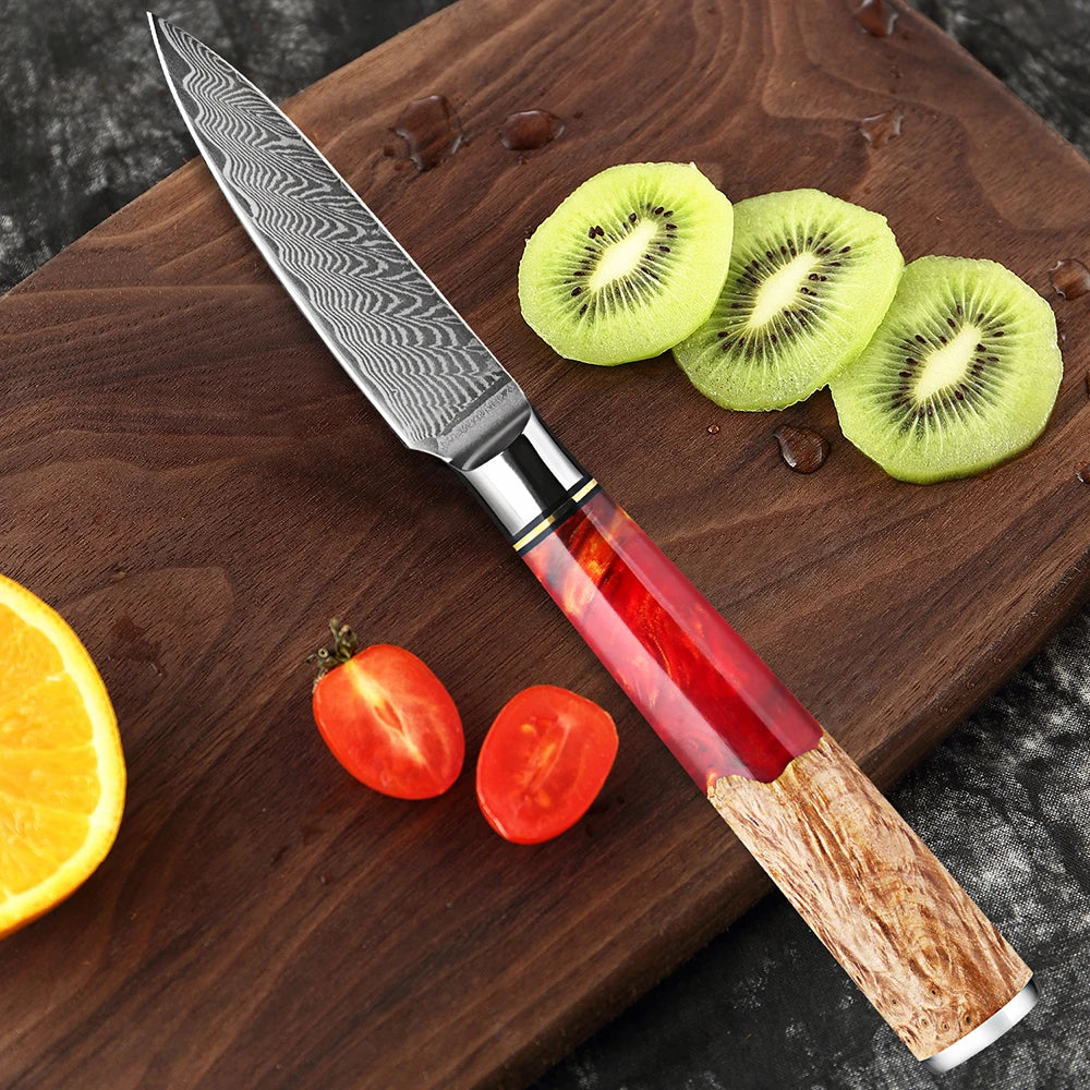 XITUO 3.5" Damascus VG10 Paring Knife – 67-Layer Red Resin Handle Damascus Paring Knife Qst