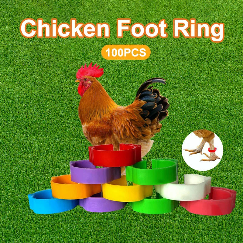16 Adjustable Poultry Leg Rings Snap Ratchet Bands for Chickens Poultry Leg Bands Qme