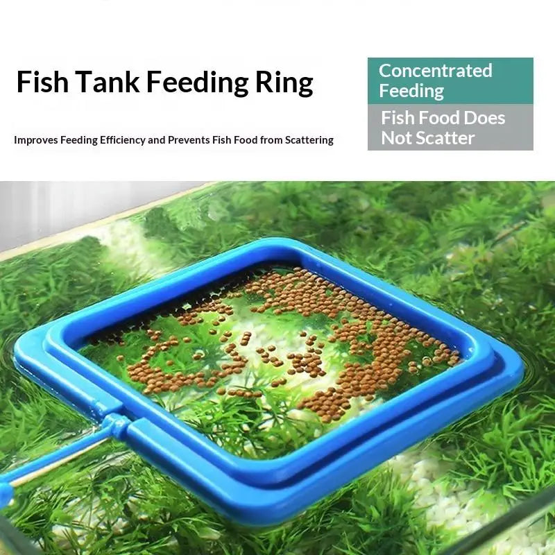 Floating Aquarium Feeding Ring Fish Tank Food Tray Feeder Aquarium Feeding Ring Qme