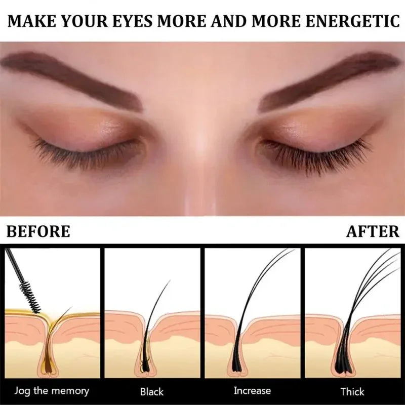 LGRAMER Eyelash Growth Serum & Eyebrow Enhancer 10ml Eyelash Growth Serum Qst