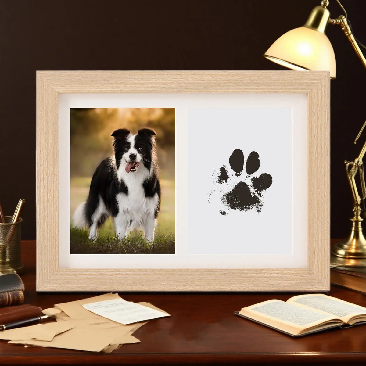 Cat & Dog Paw Print Impression Kit – Pet Keepsake Gift Pet Paw Print Kit Qme