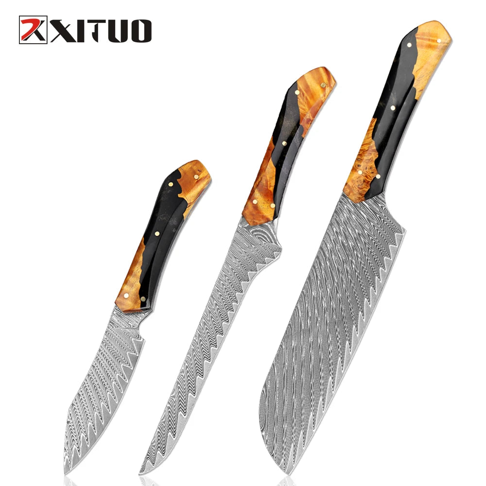 XITUO 67-Layer Damascus Steel Kitchen Knife Set – Ultra Sharp Kitchen Knife Set Qst 3PCS Knife