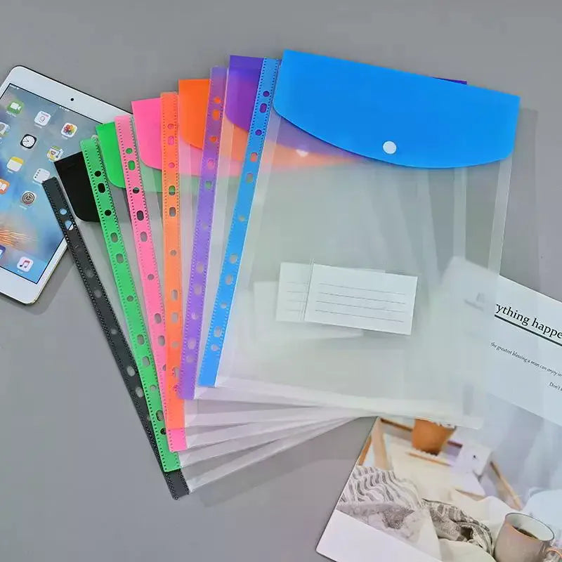 A4 Expandable Binder Pocket Folders 6–12 Pack | Qme Organizer Binder Pocket Folders Qme