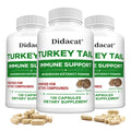 Turkey Tail Mushroom Supplement – Vegan, Non-GMO, 120 Caps Mushroom Supplement Qst 120 count -3 bottle