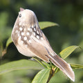 Artificial Feathered Clip-On Birds – Tree & Yard Ornaments Garden Bird Ornament Qme A2