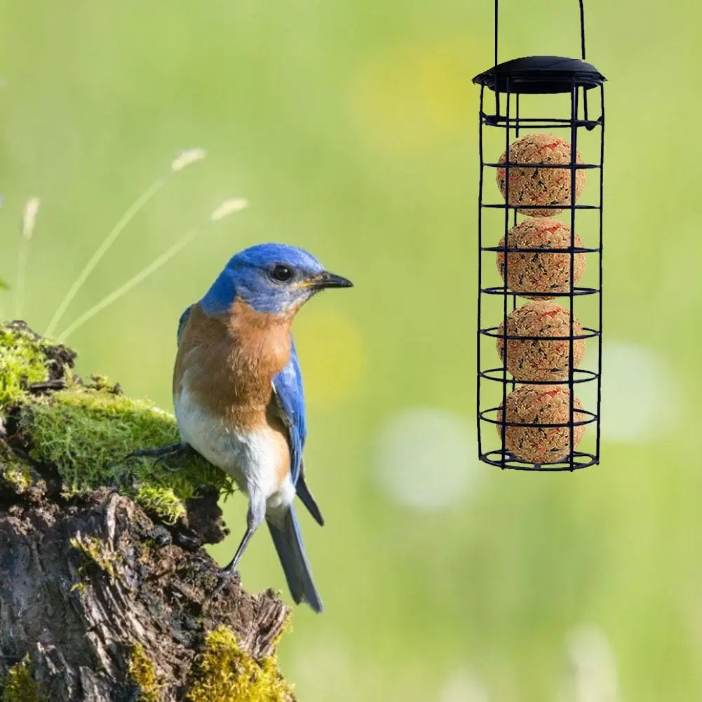 Hanging Wild Bird Suet Ball Feeder Rack | Outdoor Garden Wild Bird Feeder Qme