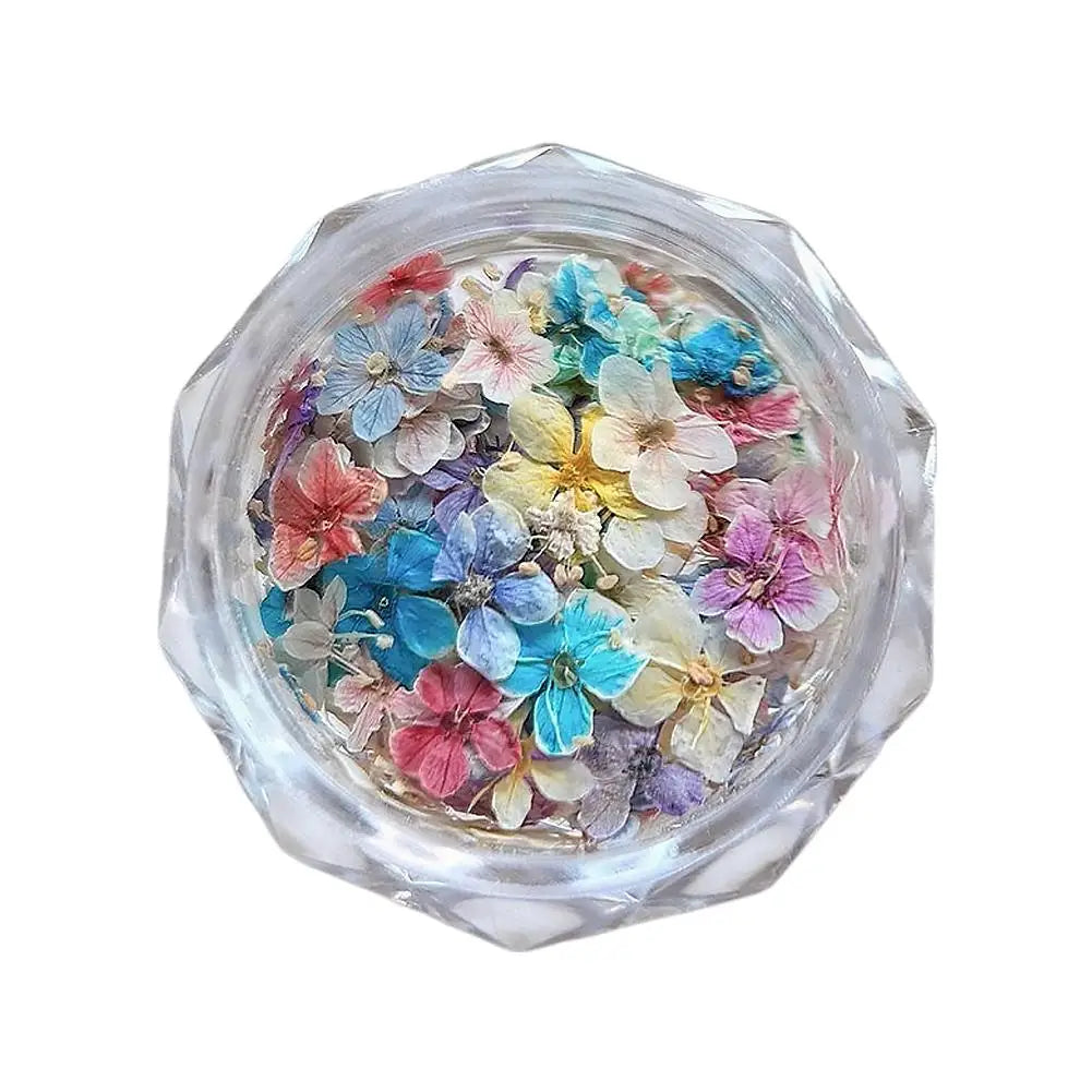 3D Dried Flower Nail Art Stickers – Floral Decal Mix Nail Art Stickers Qme E CN