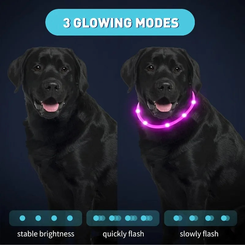 LED USB Rechargeable Dog Collar – Adjustable Safety Light LED Dog Collar Qme