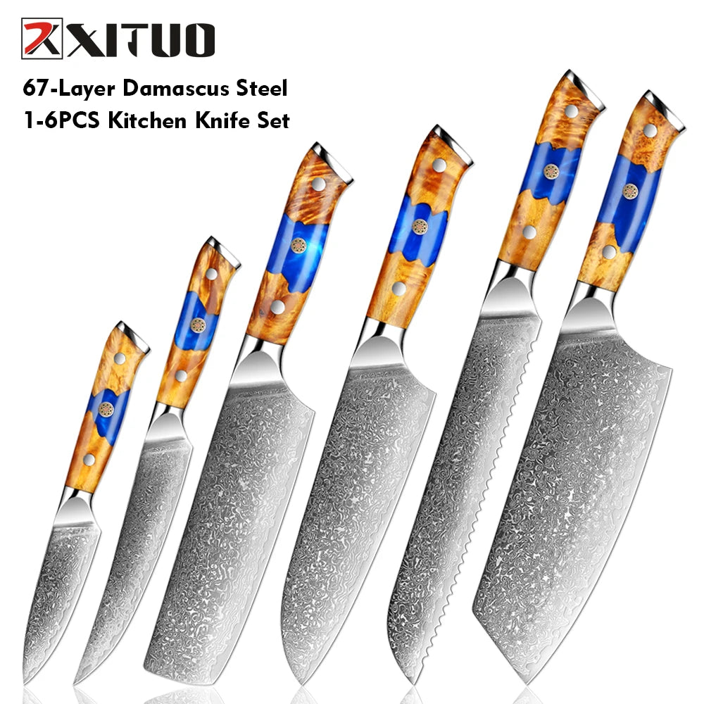 XITUO Damascus Steel Kitchen Knife Set – 1-6PCS Pro Blades Kitchen Knife Set Qst 6PCS Knife