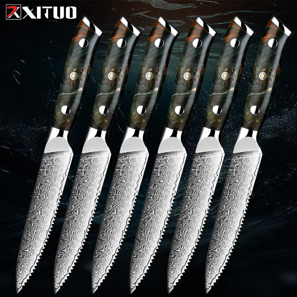 XITUO Damascus Steel Steak Knives Set – 5 Inch Sharp Dinner Knife Steak Knife Set Qst 6 PCS Steak knife