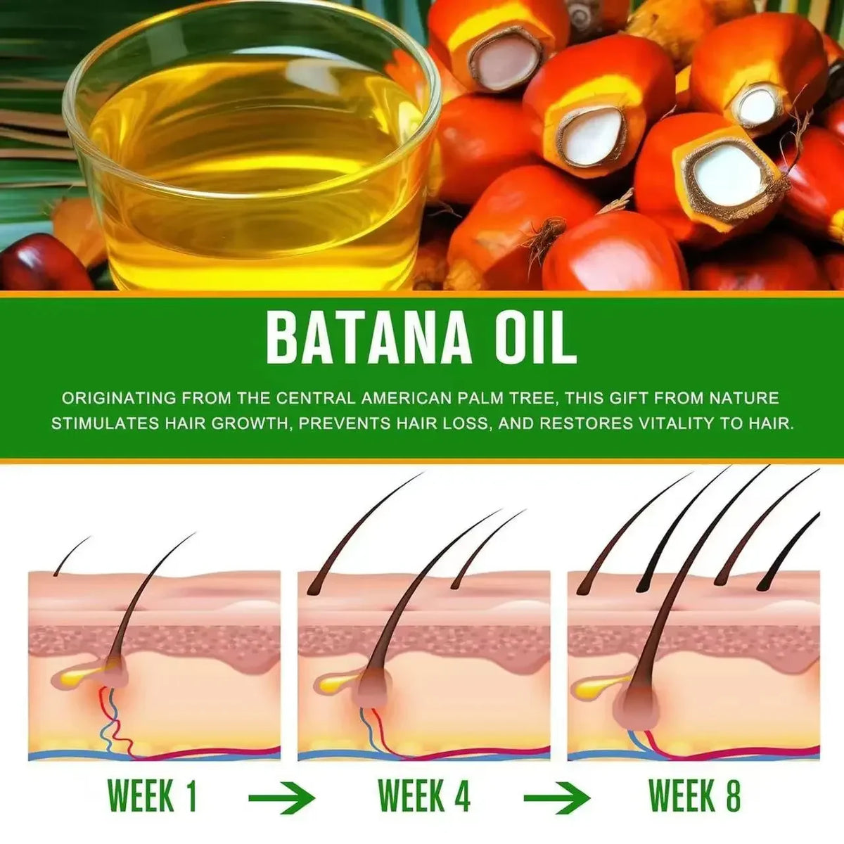 Raw Batana Oil – 100% Natural Hair Growth Oil for Men & Women Natural Hair Oil Qme