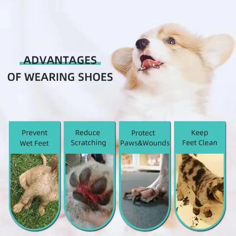 Disposable Dog Boots 20 Sets + Self-Adhesive Bandage Roll Disposable Dog Boots Qme