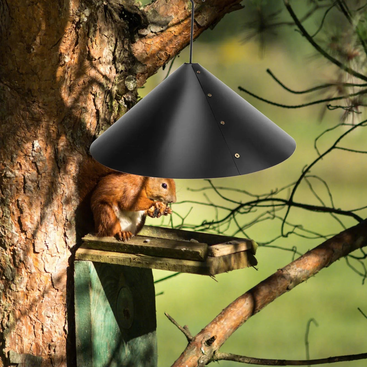 PVC Squirrel Baffle Bird Feeder Hanging Flapper Guard Bird Feeder Baffle Qme