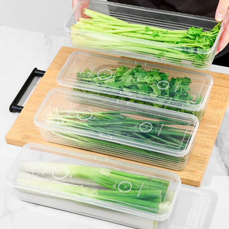 Sealed Fridge Crisper Box for Scallions & Herbs | 29cm Food Storage Container Qme