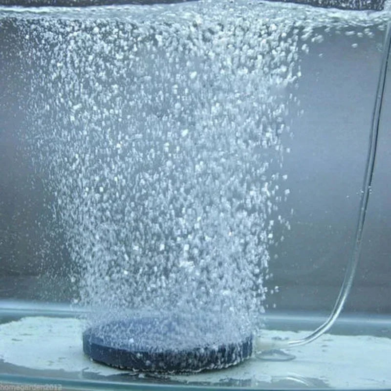 Air Bubble Stone Disk Aquarium Aerator 40mm – Hydroponic Oxygen Aquarium Air Stone Qme