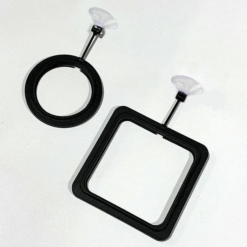 Floating Aquarium Feeding Ring Fish Tank Food Tray Feeder Aquarium Feeding Ring Qme