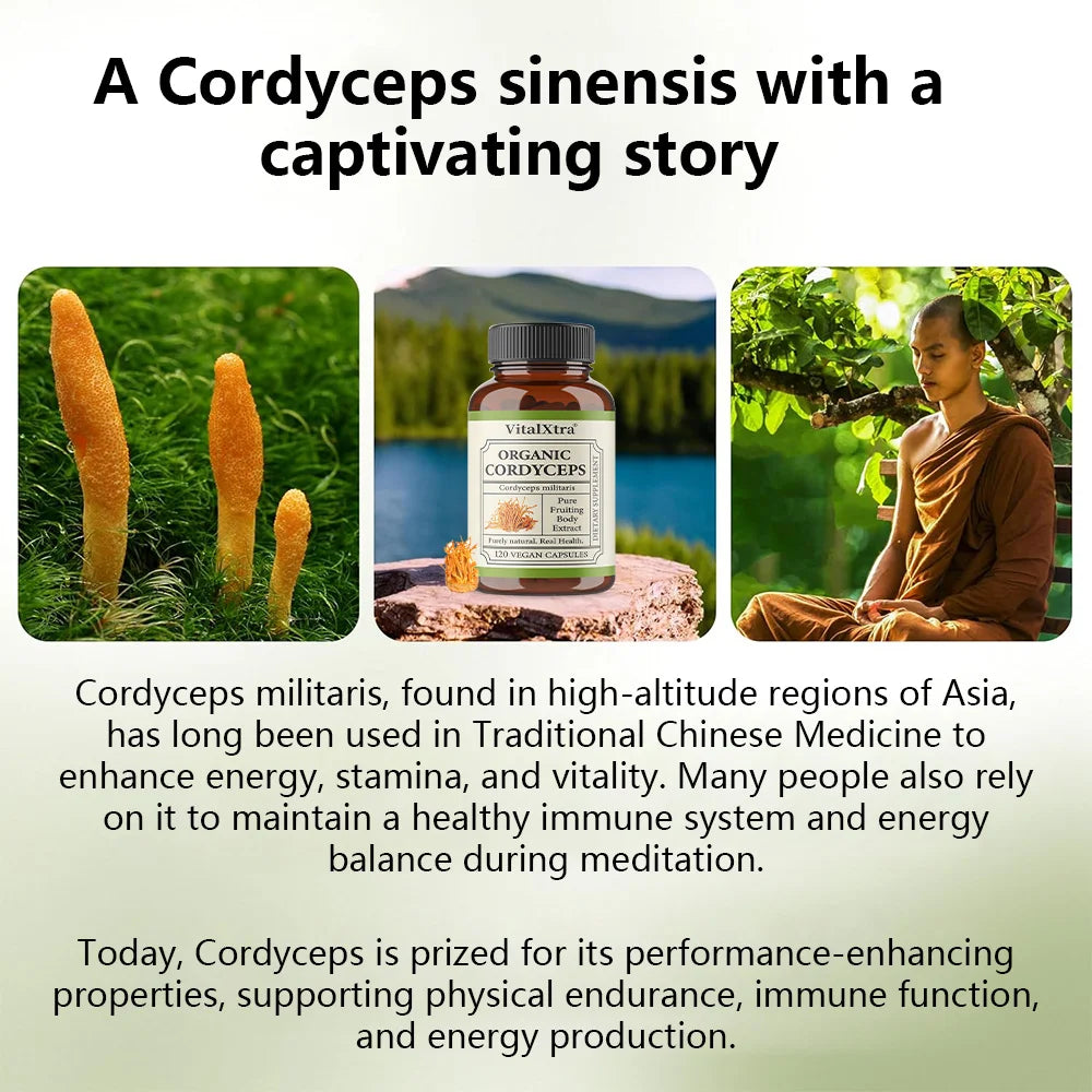 Organic Cordyceps Sinensis 1000mg – Energy & Endurance | 120 Caps Mushroom Supplement Qst