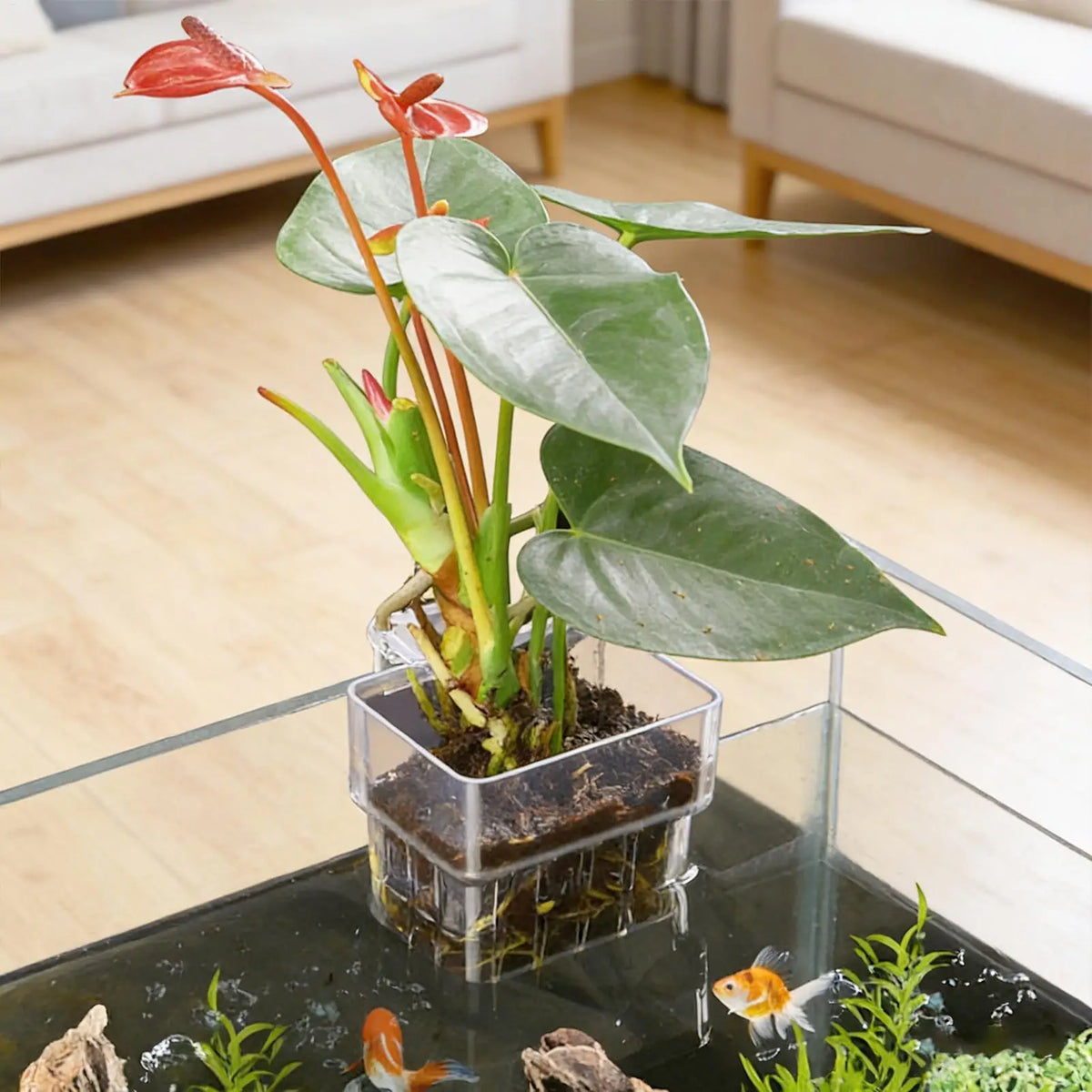 Transparent Hangable Aquarium Plant Holder Pot | Fish Tank Aquarium Plant Holder Qst