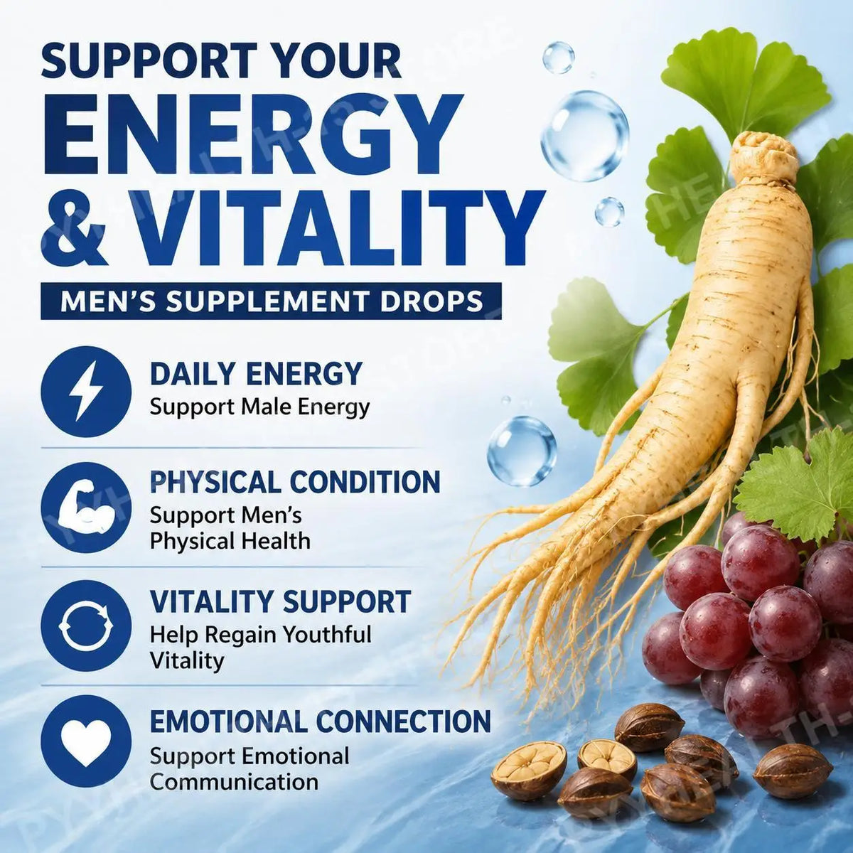 Men's Vitality Drops – Ginseng, Ginkgo, Grape Seed & B12 Herbal Supplement Drops Qst