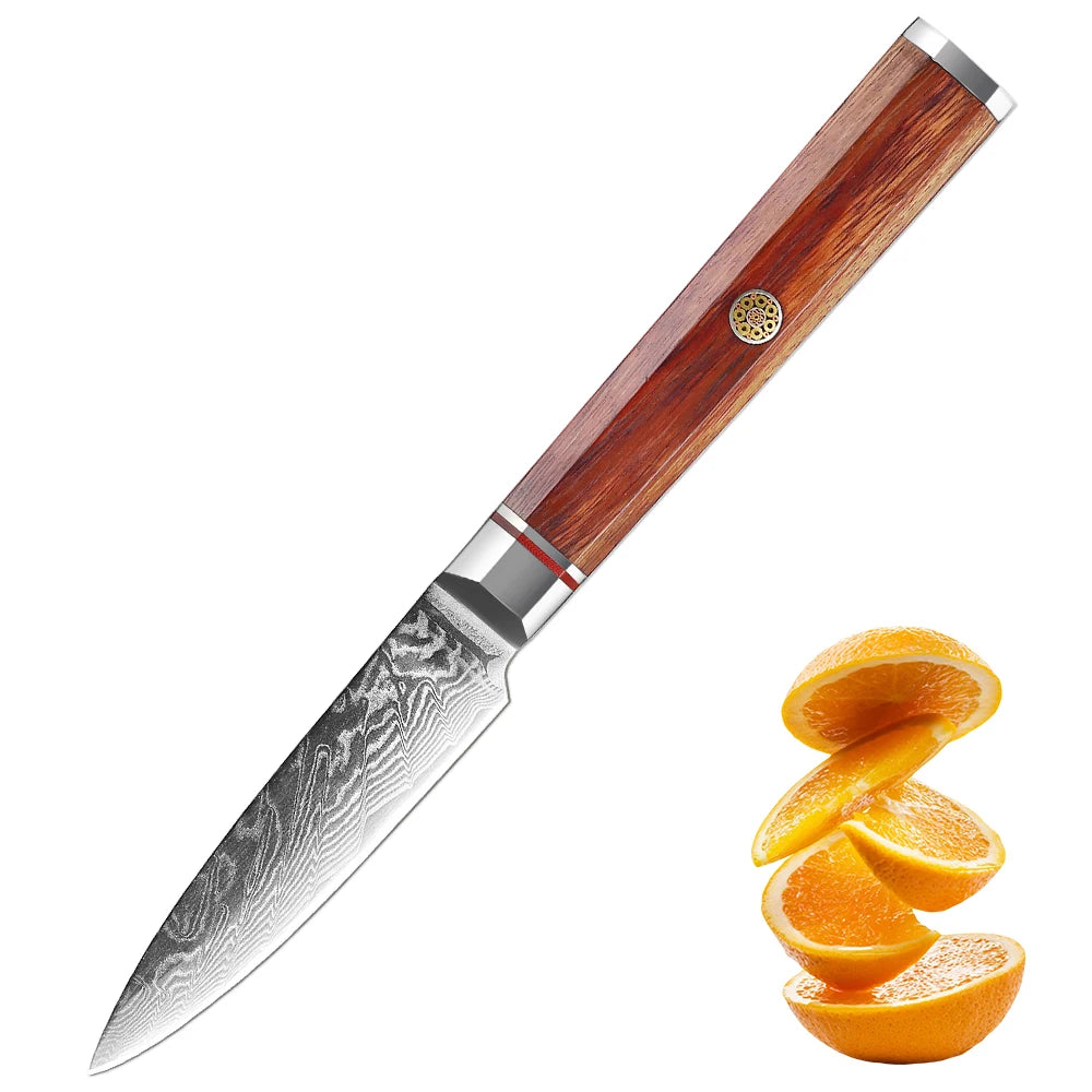 XITUO Damascus Steel Kitchen Knife Set – 67-Layer VG10 Kitchen Knife Set Qst Paring Knife