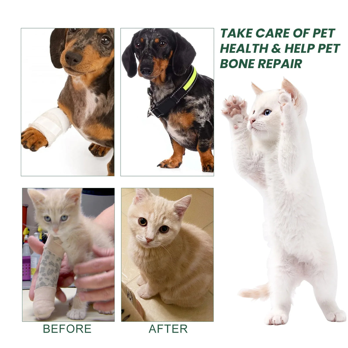 Yegbong Dog Joint Care Drops – Liquid Glucosamine for Pets Pet Joint Supplement Qst