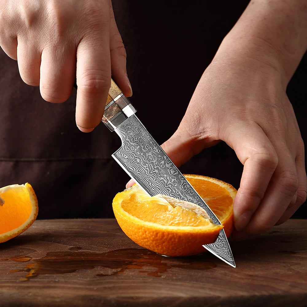 XITUO 4-Inch Damascus Steel Paring Knife – Resin & Wood Handle Damascus Paring Knife Qst