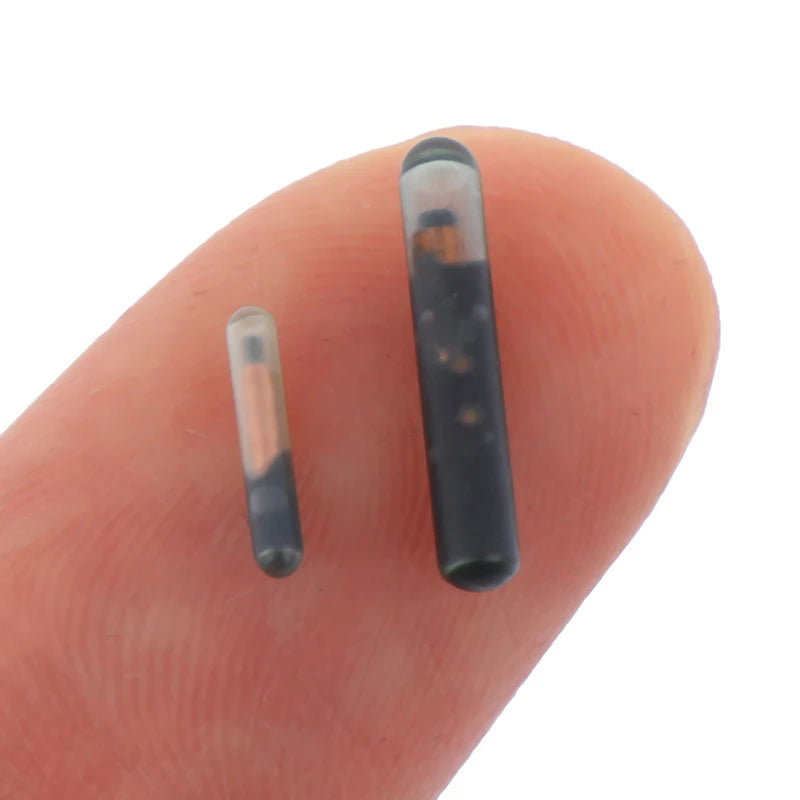 134.2KHz RFID Animal Microchip Tag – Dog, Cat & Fish ID Pet Microchip Tag Qst