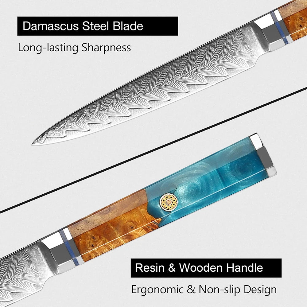 XITUO 5-Inch Damascus Steel Petty Knife – 67-Layer VG10 Damascus Kitchen Knife Qst