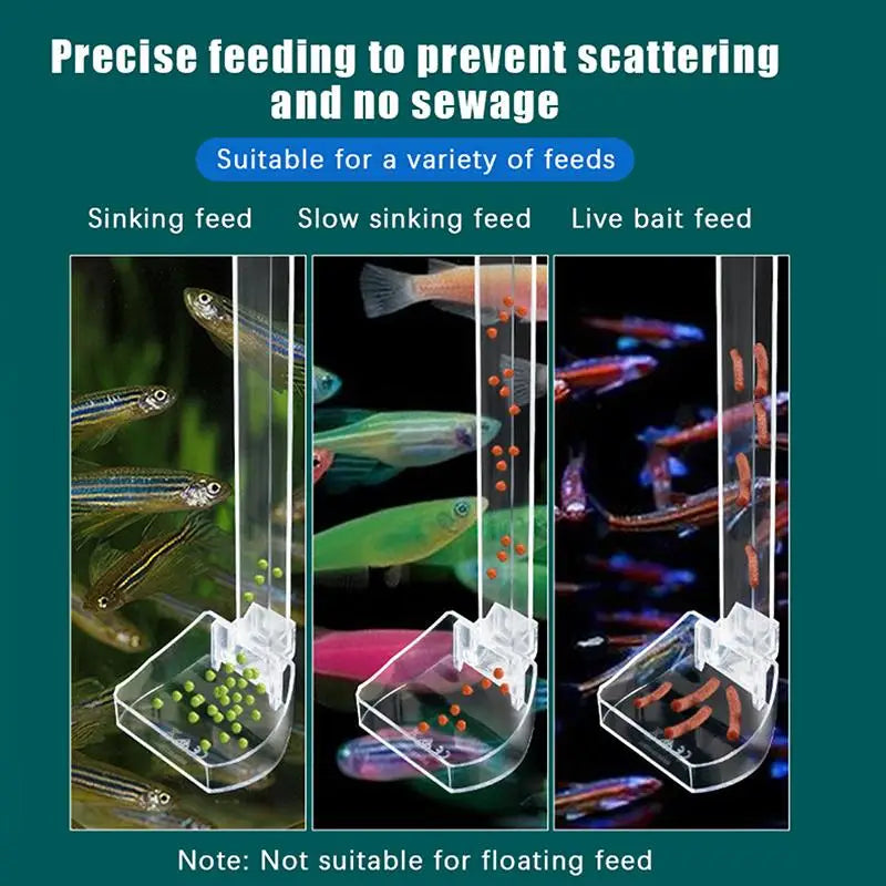 Aquarium Shrimp & Fish Feeding Dish with Brush & Spoon Aquarium Feeding Dish Qme
