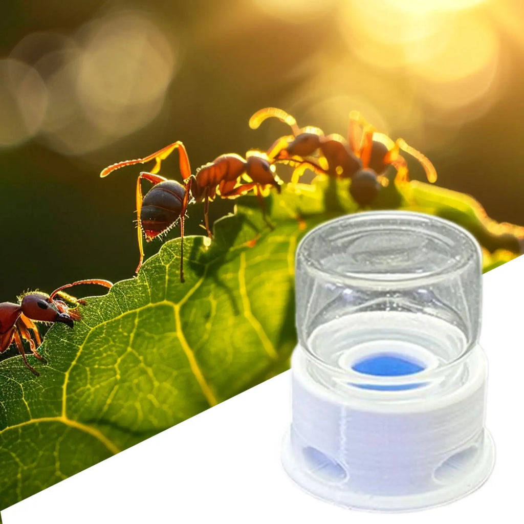 Ant & Bee Liquid Feeder – Transparent Leakproof 12ml Water Station Insect Habitat Feeder Qme