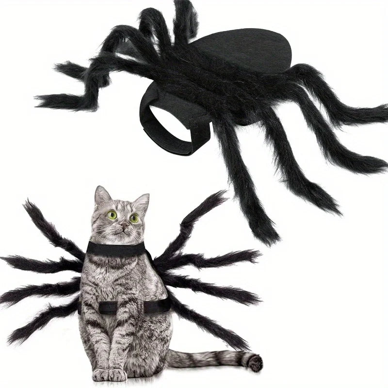 Halloween Spider Costume for Small Dogs & Cats – Black Pet Halloween Costume Qme