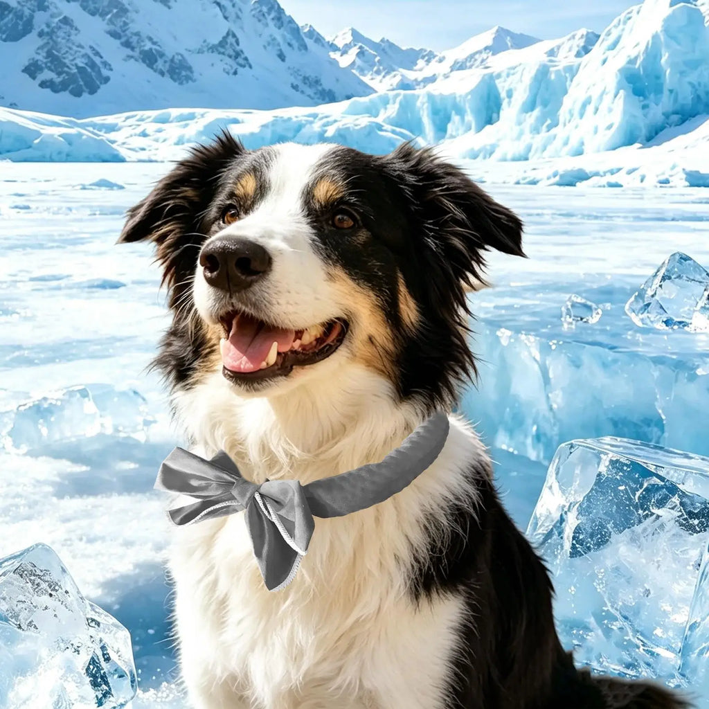 Cooling Neck Wrap Scarf for Dogs & Cats | Reusable & Washable Pet Cooling Scarf Qme