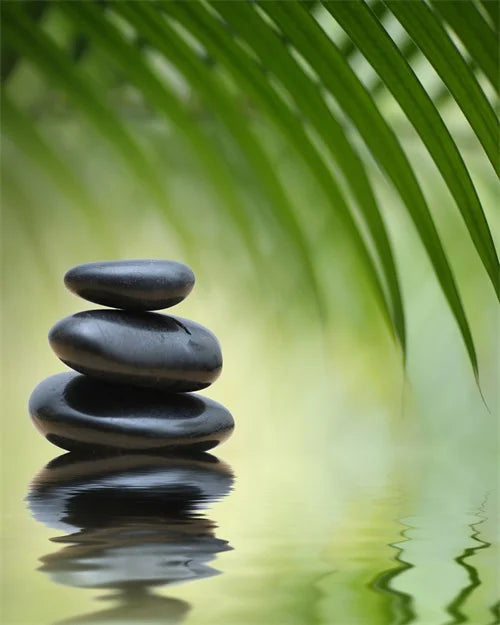 Green Bamboo Zen Stone Canvas Wall Art – Unframed Print