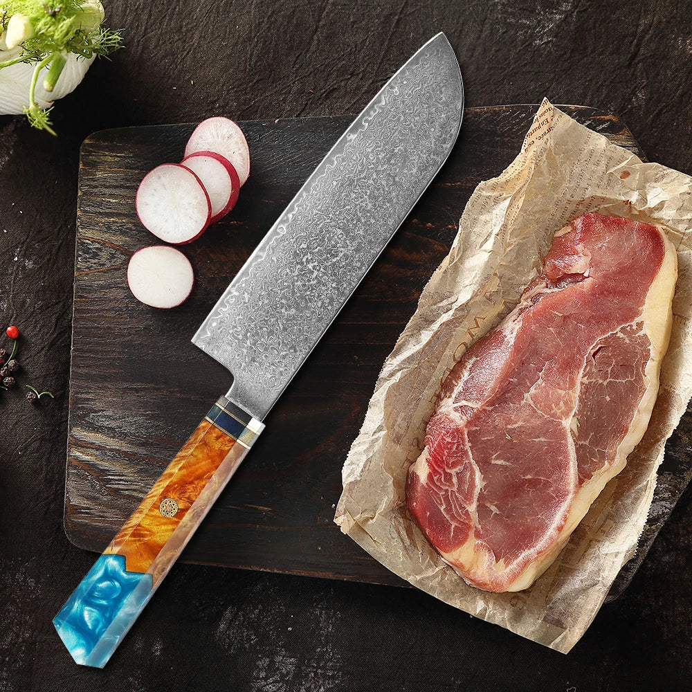 XITUO Damascus Santoku Knife – 67-Layer VG10 Japanese Steel Santoku Kitchen Knife Qst